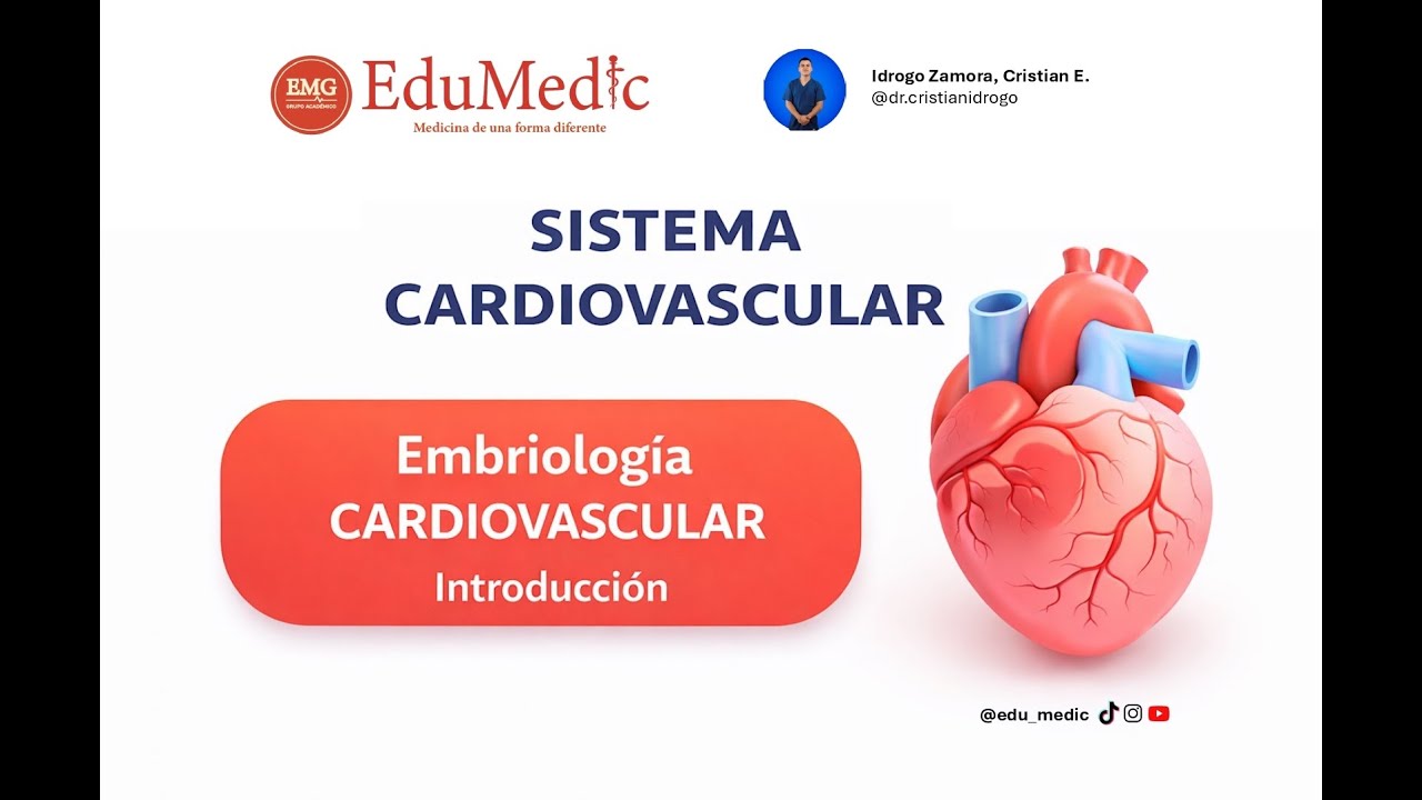 Introducción a la Embriología Cardiovascular | ¡Entiende el corazón desde su origen! 🫀 EMG