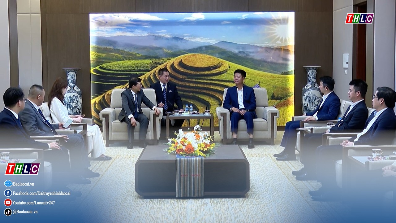 Phó Chủ tịch Thường trực UBND tỉnh tiếp đại diện Tập đoàn Xây dựng Thái Bình Dương (Trung Quốc)