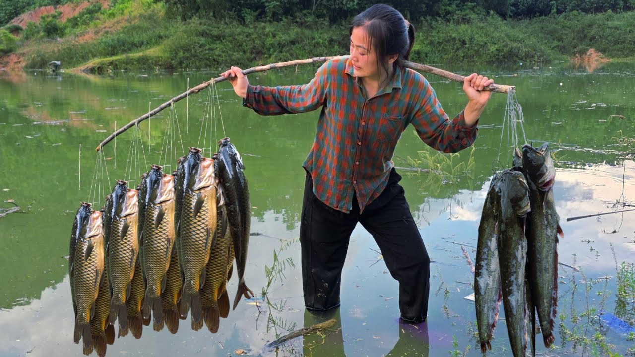 Full Video 30 days single girl Diep harvests giant fish to sell with traditional fishing skills.