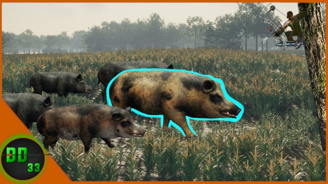 Hunting The Smartest Wild Hog We've Ever Seen! Call Of The Wild