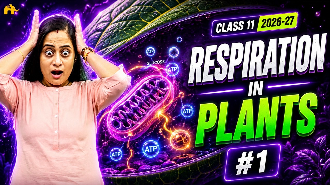 Respiration in Plants Class 11 Biology #1 Glycolysis, Kreb’s cycle | NCERT Chapter 12 | CBSE NEET