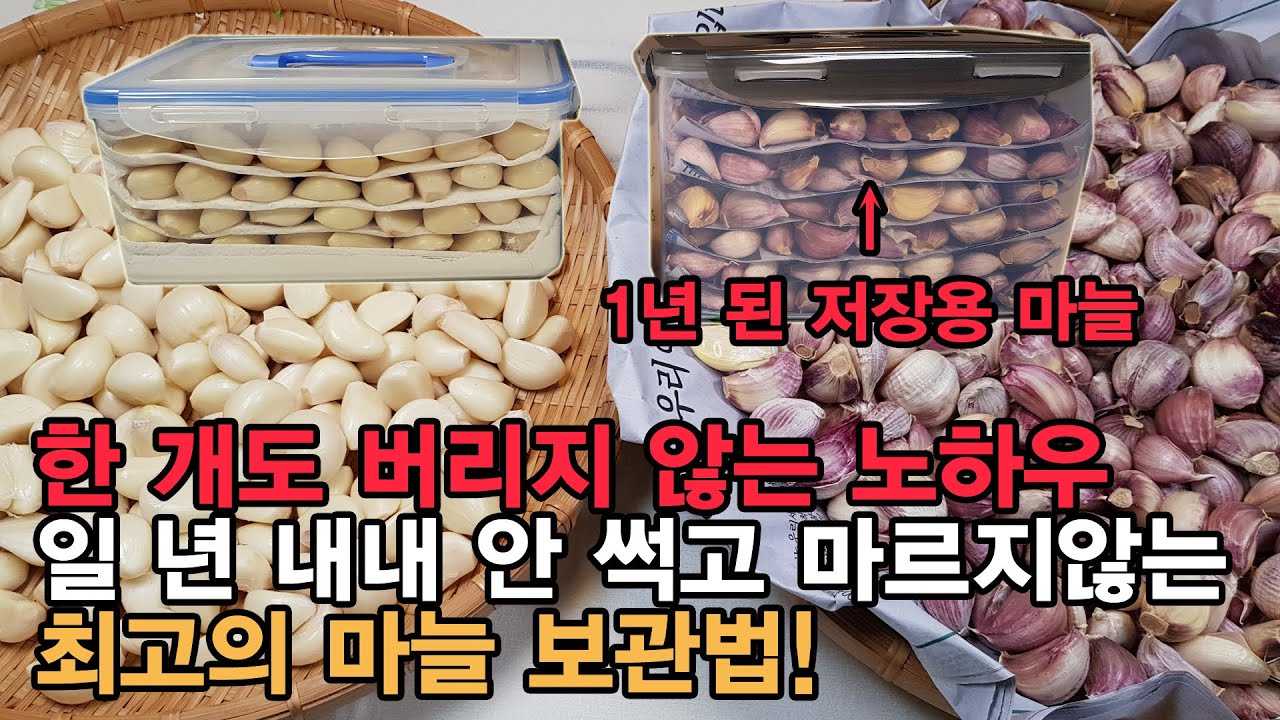 깐 마늘 & 안깐 마늘 보관법! 일 년 내내 썩지도 않고 마르지도 않는 최고의 마늘 보관하는 방법! 냉장고 보관 위치 정말 중요해요. How to storage garlic.