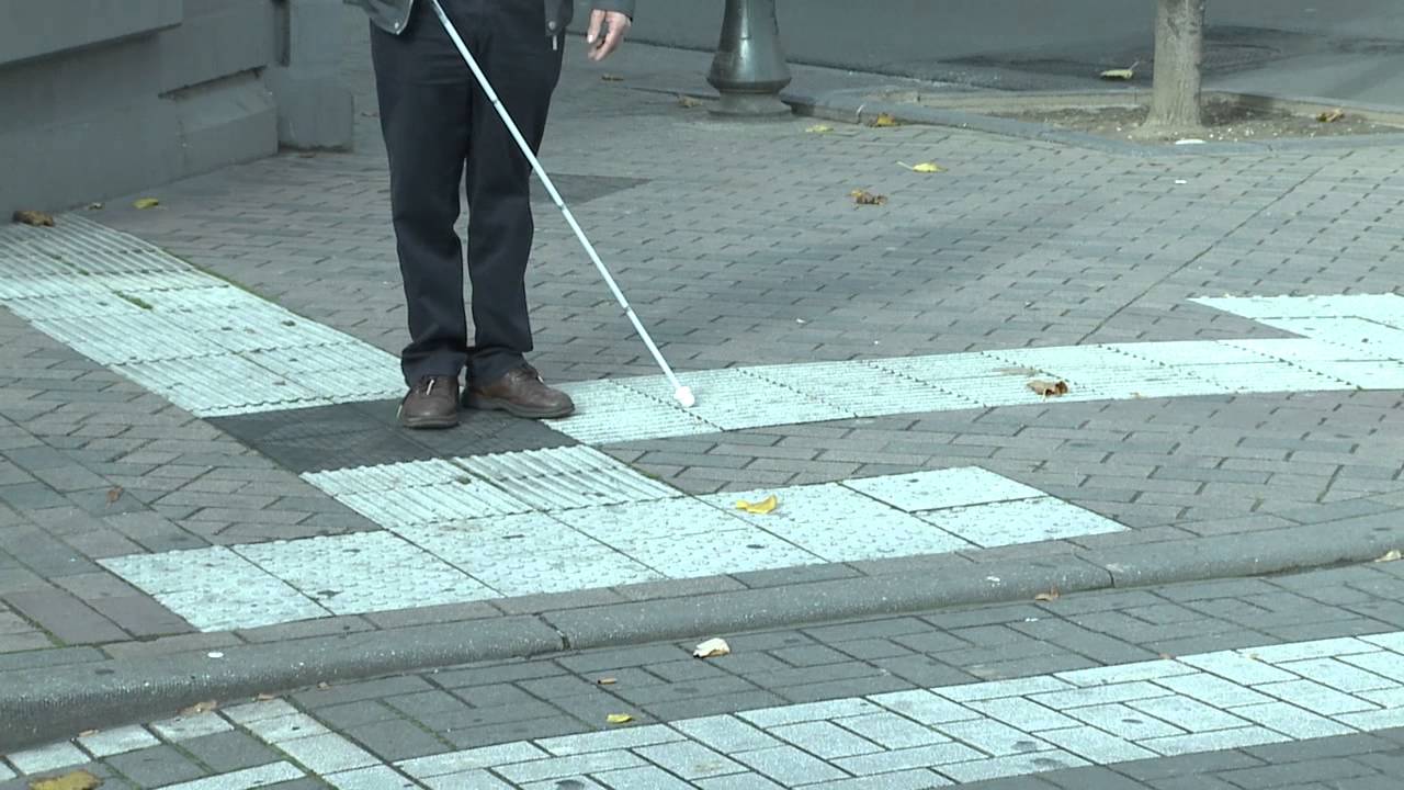 De witte mobiliteitsstok.