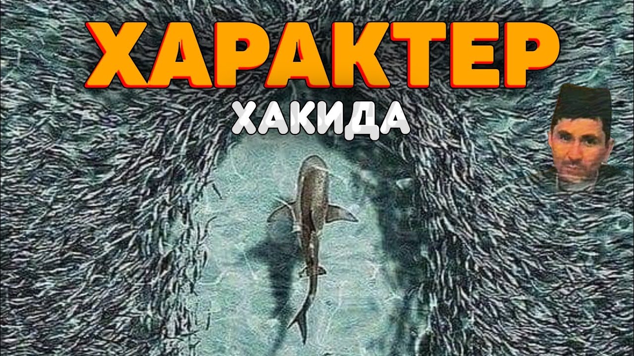 Характер ҳақида ажойиб маьруза! °Абдуллох Домла°Abdulloh Domla° #abdullohdomla #namoz #zikr #salovat