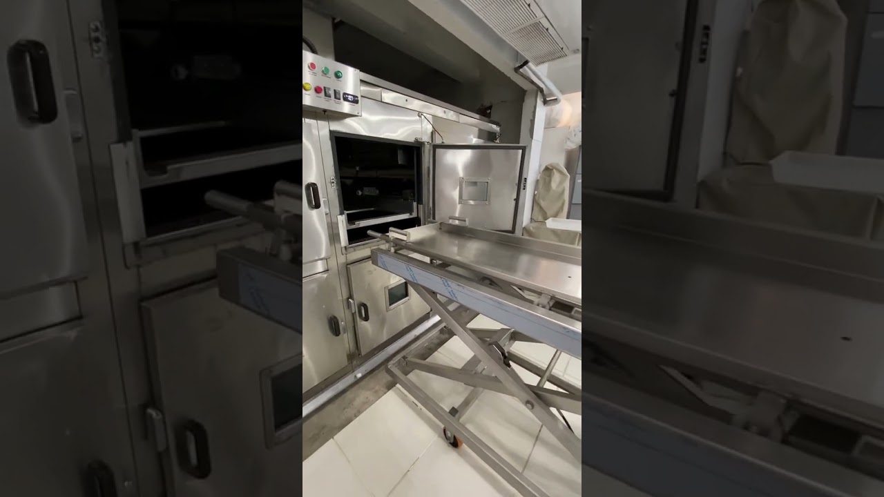 Dentro de um necrot&eacute;rio