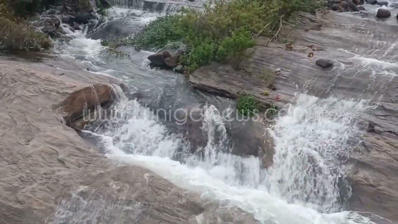KUNIGAL |ಪ್ರವಾಸಿಗರನ್ನು ಕೈ ಬೀಸಿ ಕರೆಯುತ್ತಿರುವ ಮೂಡಲ್ ಕುಣಿಗಲ್ ಕೆರೆ ಕೊಡಿಯ ಸೊಬಗೆ ಚೆನ್ನ!