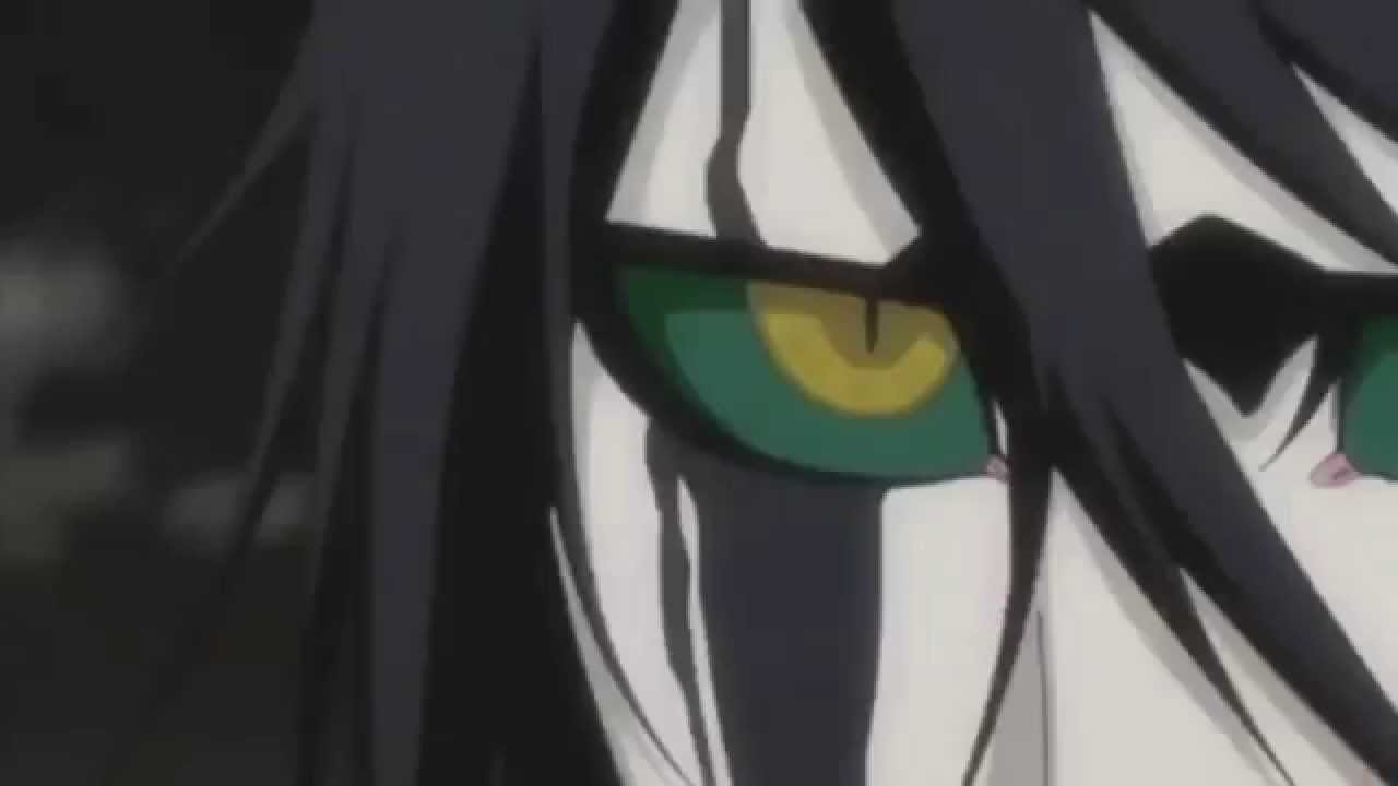 Bleach - AMV - Lion