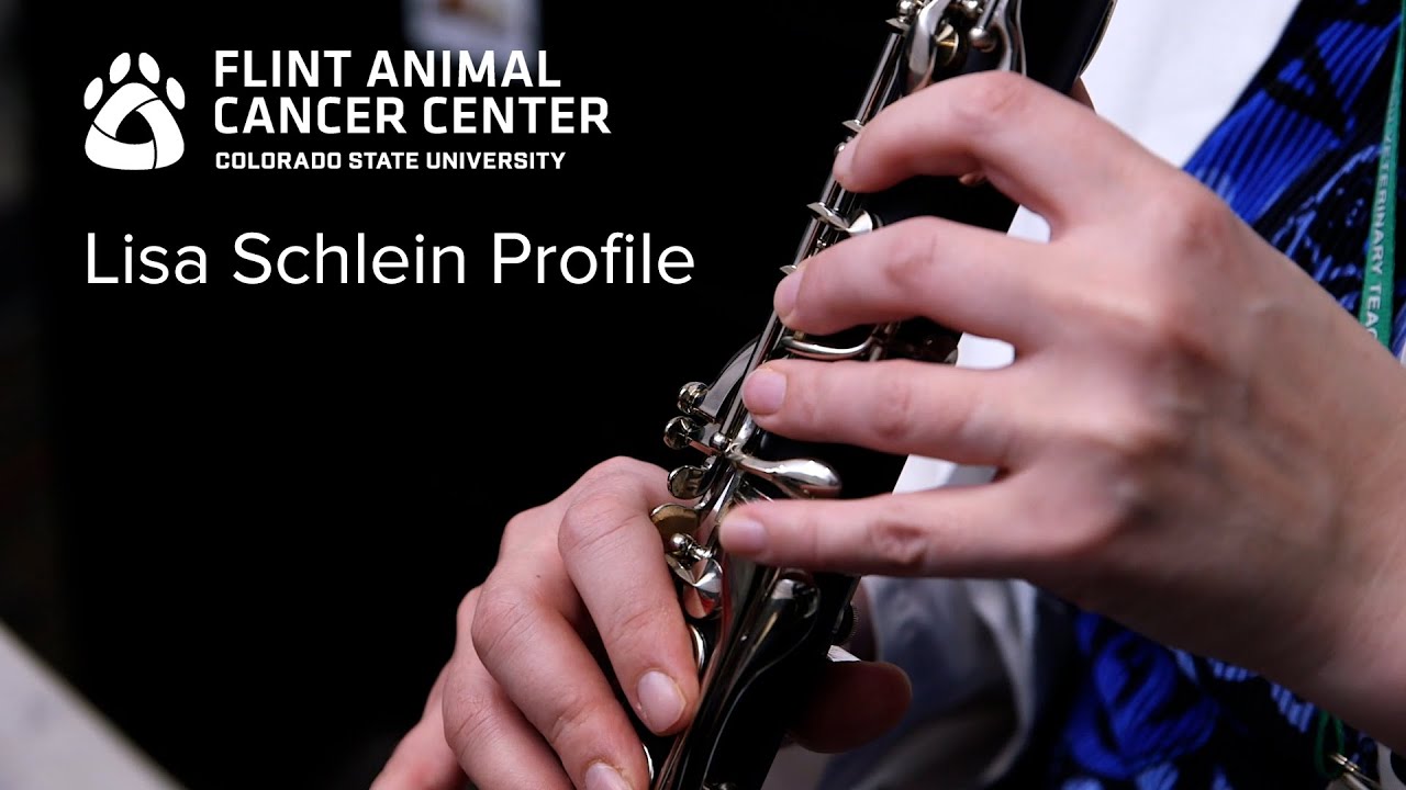 Cancer Biology and Experimental Therapeutics - Dr. Lisa Schlein, Flint Animal Cancer Center
