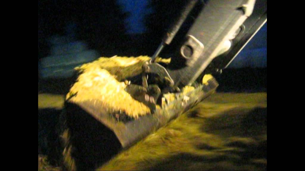 Kukurydza 2011 Podlasie Krypno