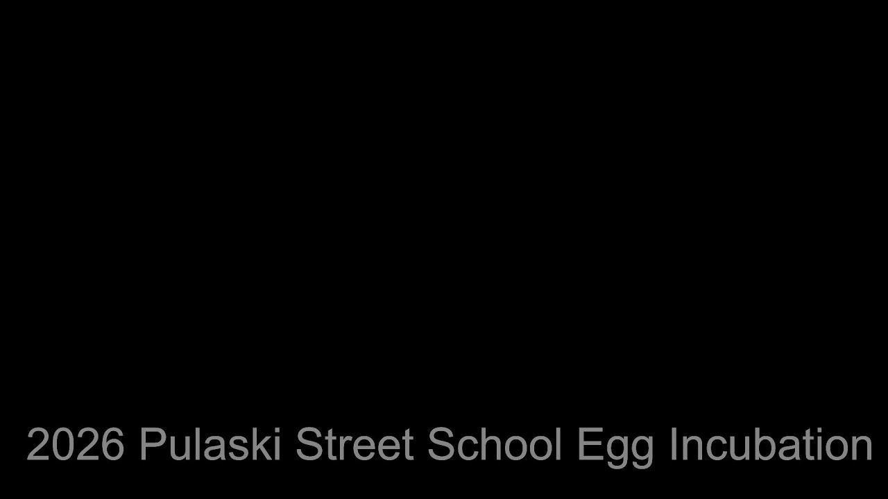 2026 Pulaski Street School Egg Incubation Live Stream