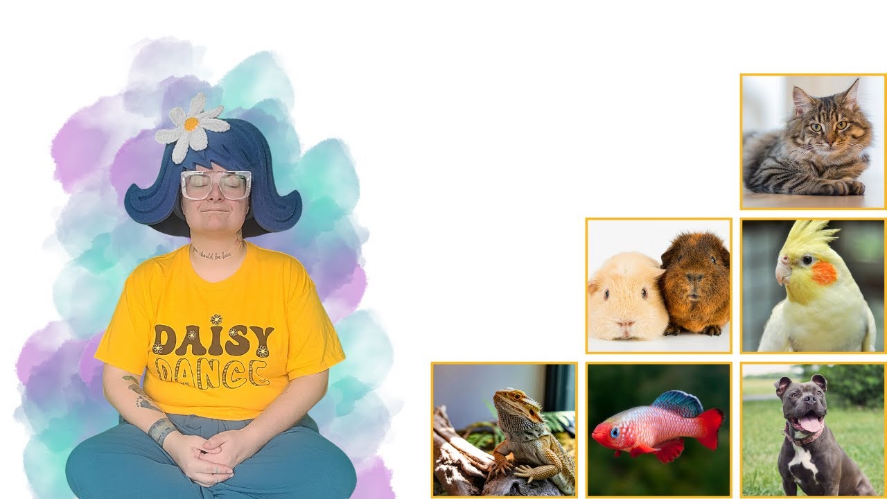 Pet Themed Relaxation with Dancy Dance!