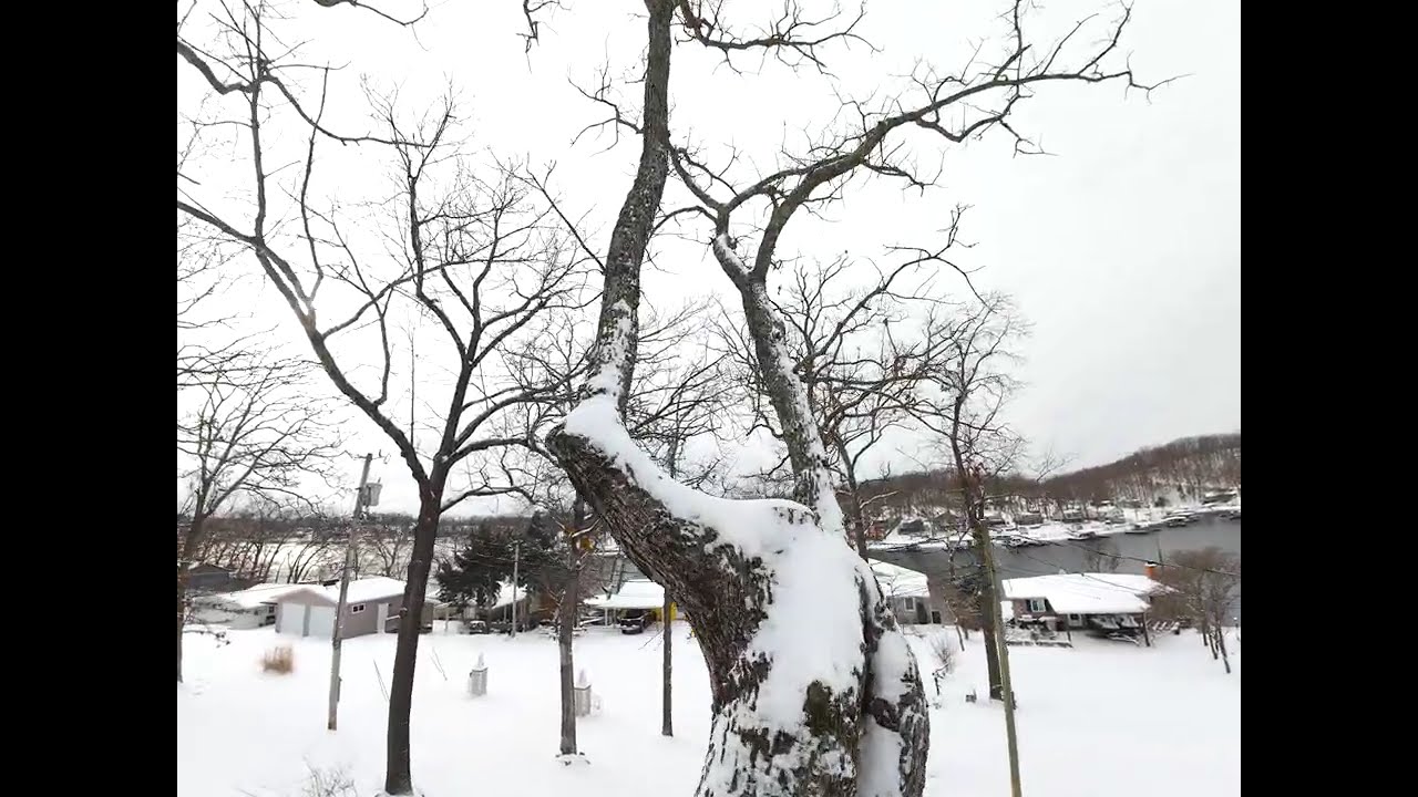 Snowstorm Cinematic