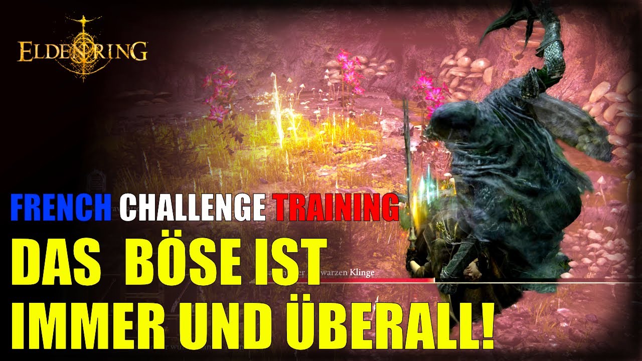 Unsichtbare Assassine in der KLEINSTEN Höhle! | Elden Ring Randomizer | French Challenge Training