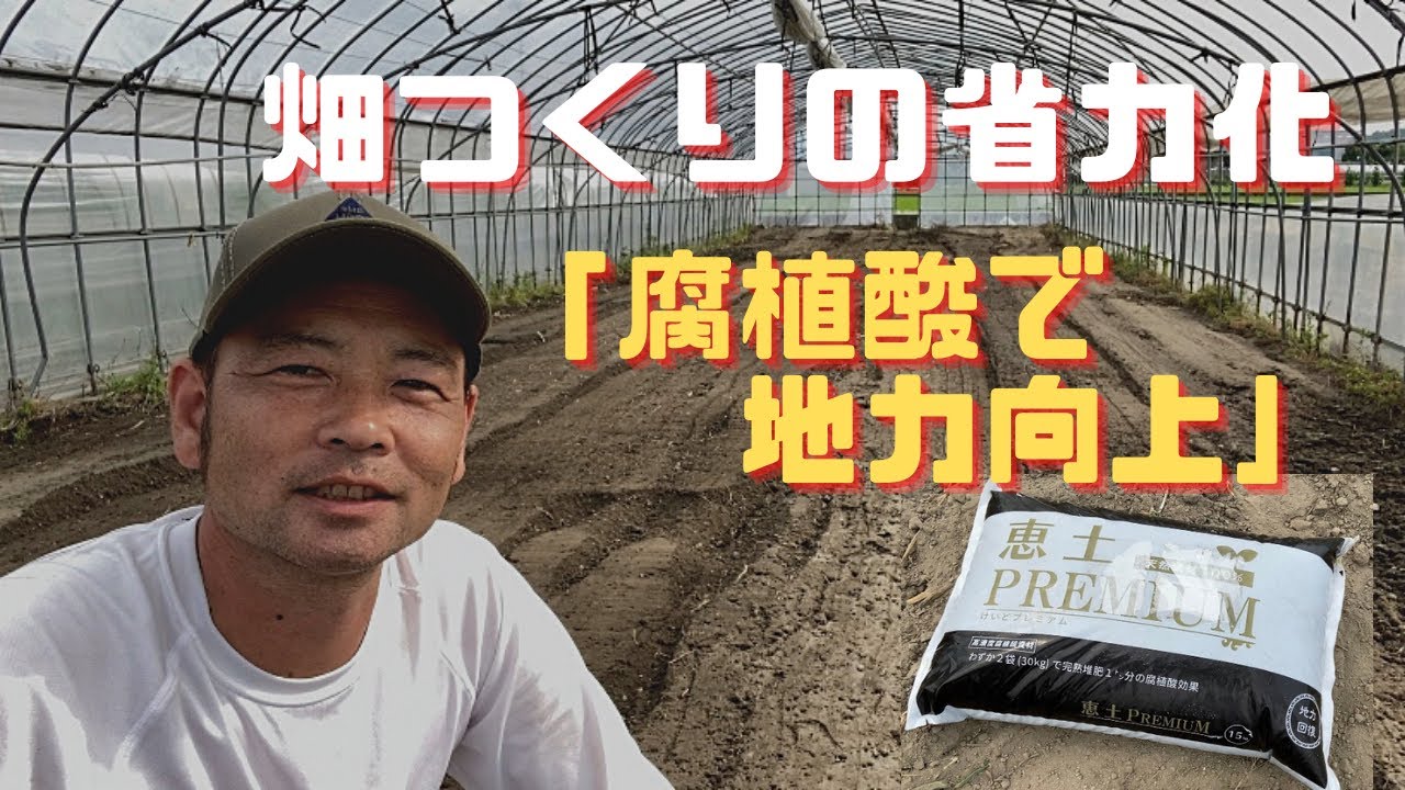 畑つくりの省力化【腐植酸で地力向上】きゅうり畑の土作り