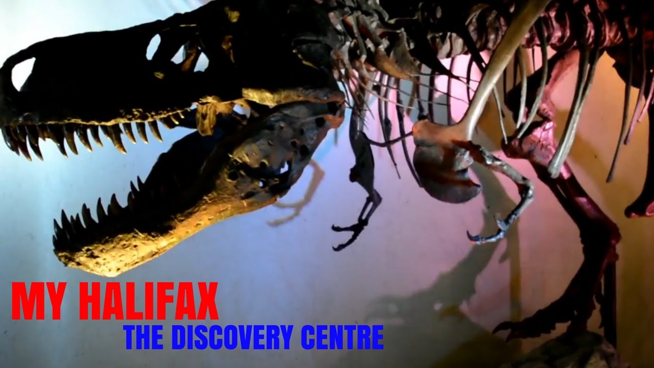 The Discovery Centre - My Halifax - Things To Do In Halifax
