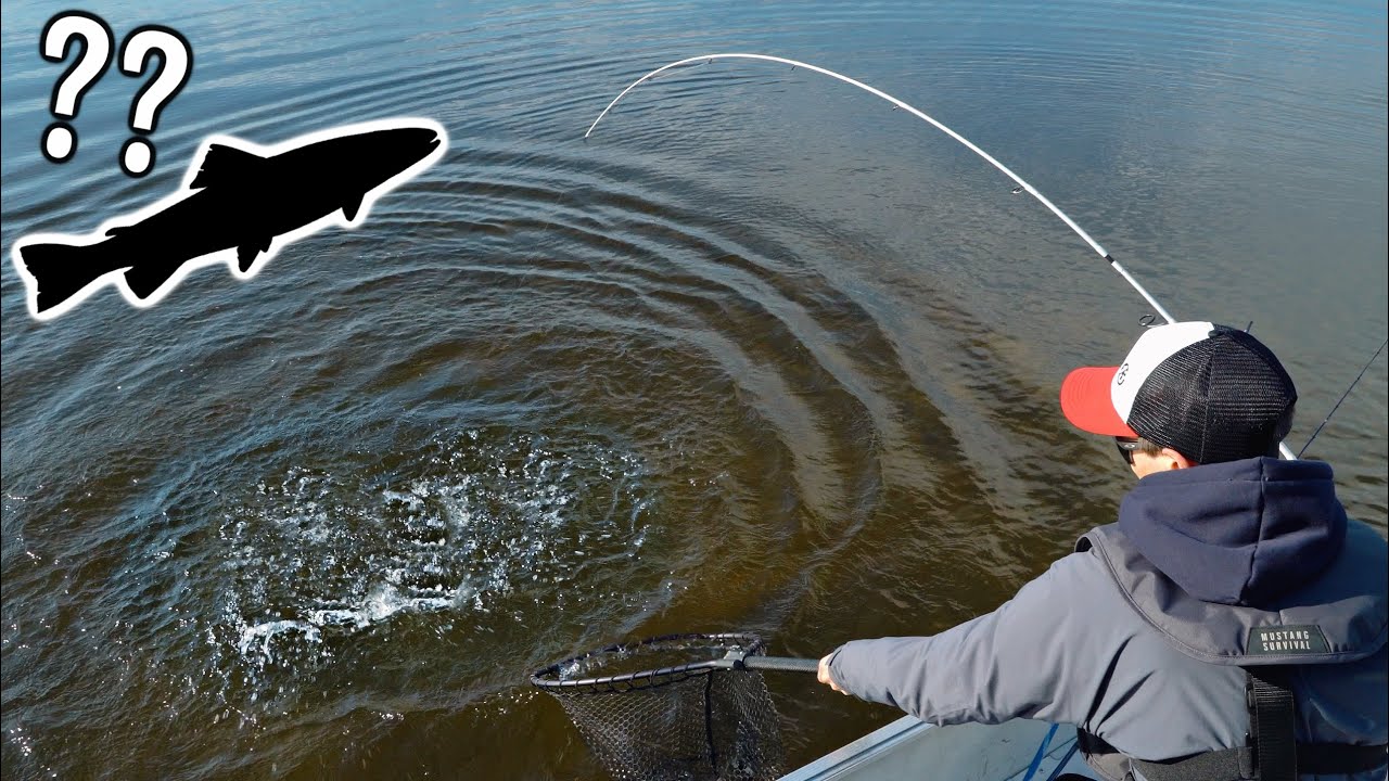 La Quête de la Truite Grise! (Pêche en Pourvoirie) 2021