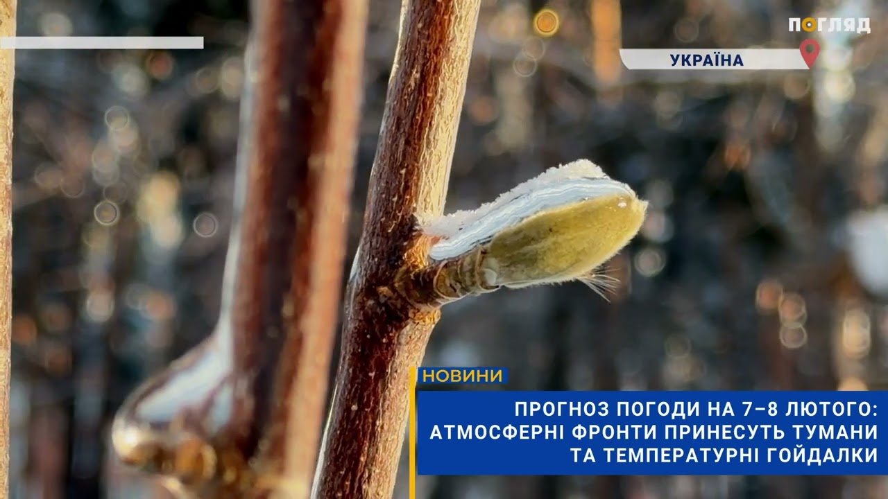 Прогноз погоди на 7–8 лютого: атмосферні фронти принесуть тумани та температурні гойдалки