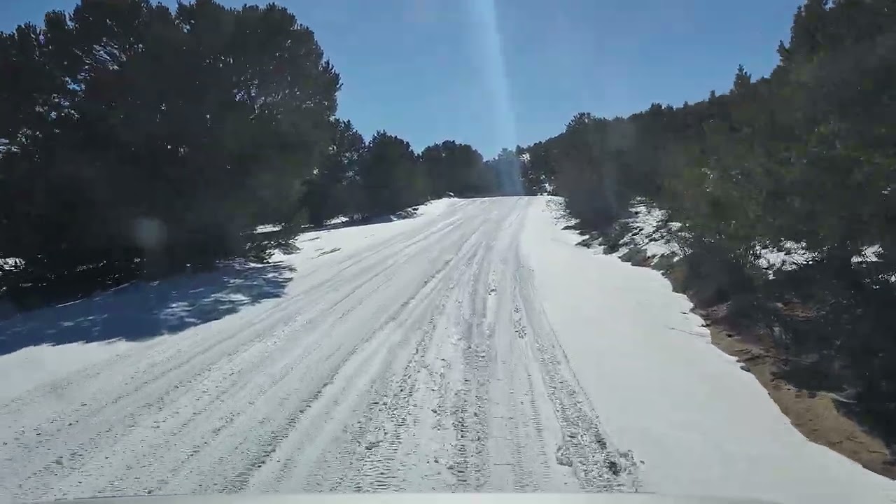 let's go for a ride
