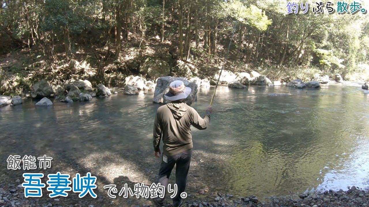 これは楽しい！良型連発！ 夏から秋に向かう吾妻峡。  飯能市 入間川の吾妻峡で小物釣り。