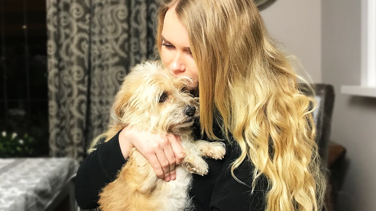 SHE BROKE HER LEG! (Vlog) W/Jelly