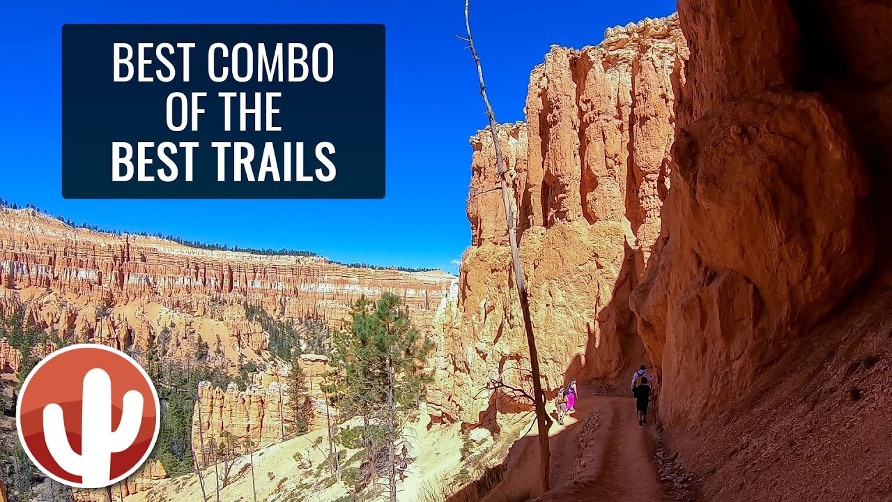 BRYCE CANYON'S FIGURE 8 HIKE | Queens Garden, Navajo, & Peekaboo Loop Hikes Combined