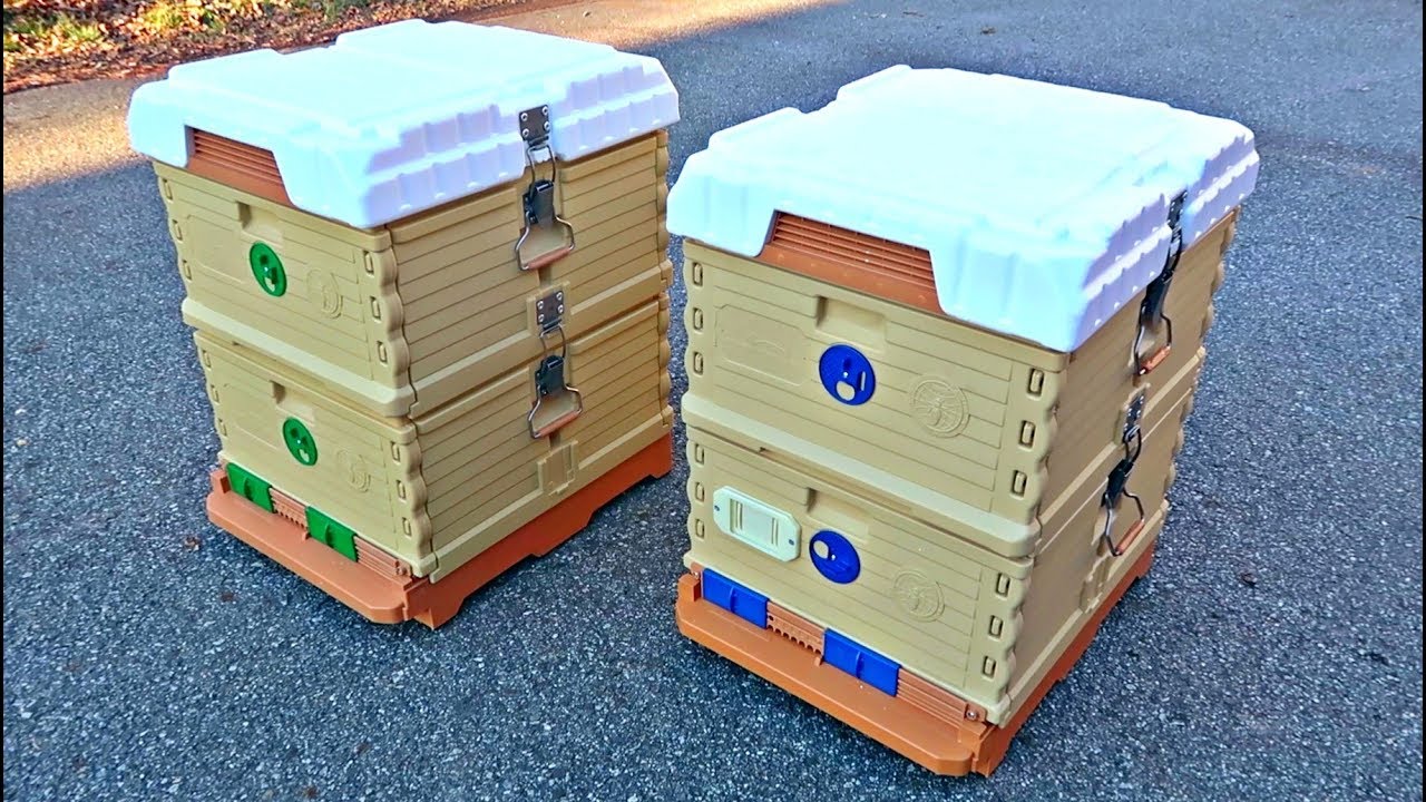 Most Advanced Beehive?
