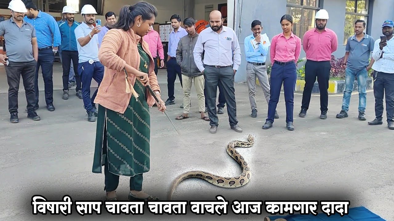 दादांना काम करताना चावता चावता वाचला हा विषारी साप