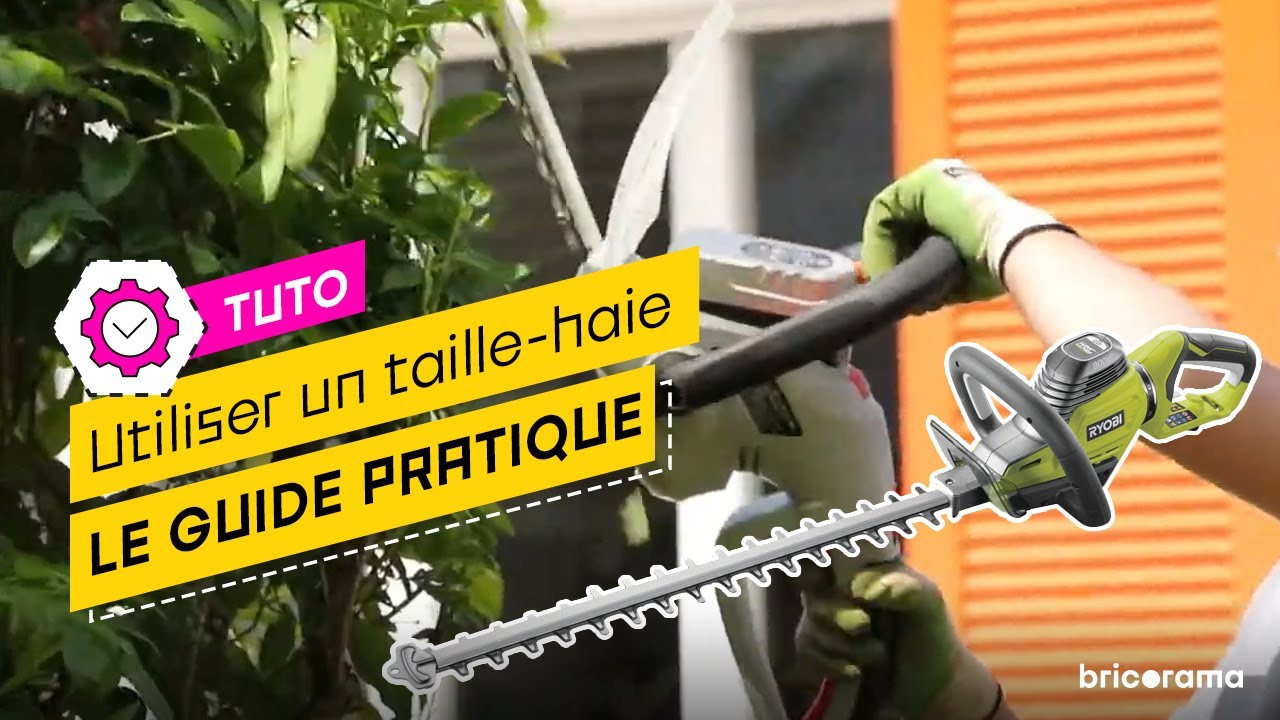 Taille-haie : comment bien tailler les haies ? Bricorama