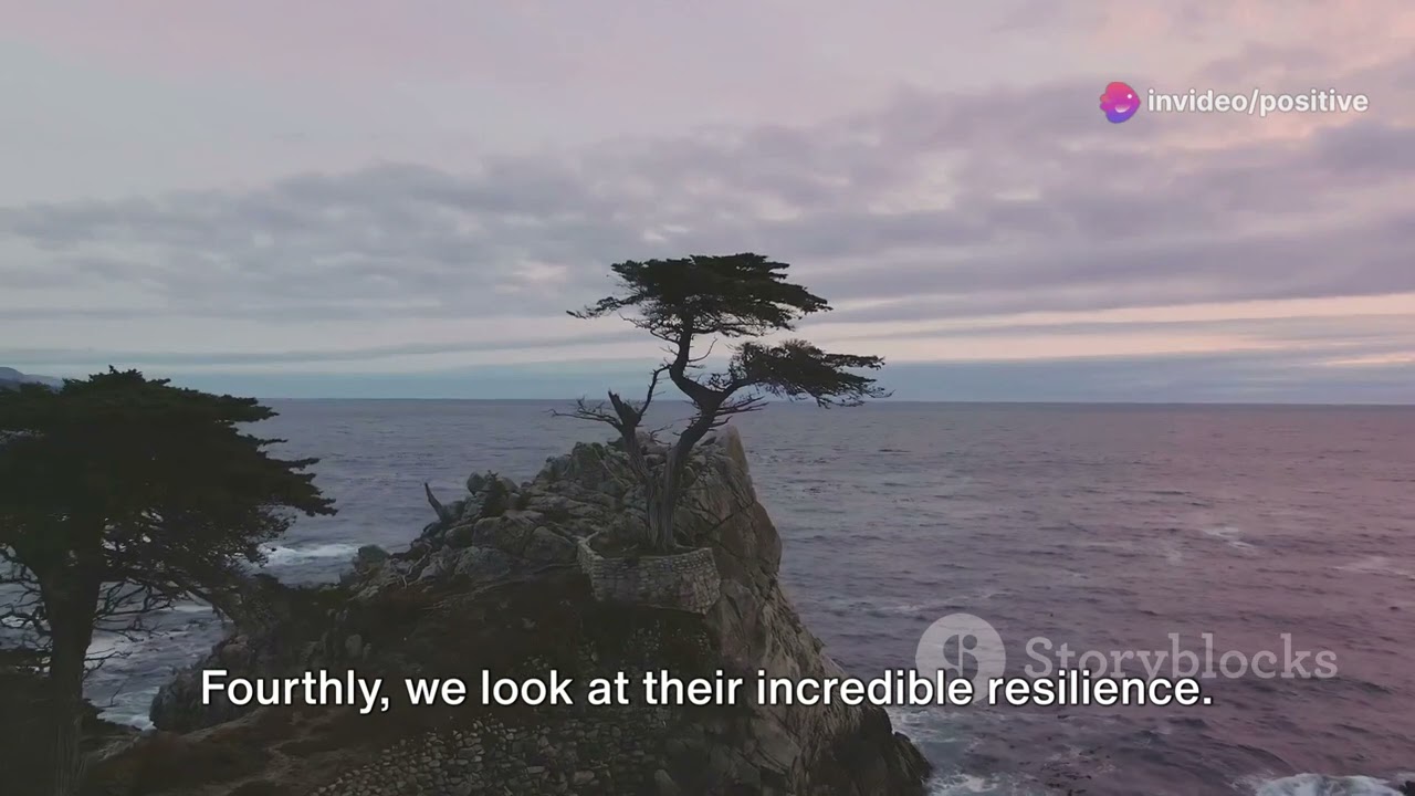 Unveiling the Cypress: 5 Unique Facts #trees #nature