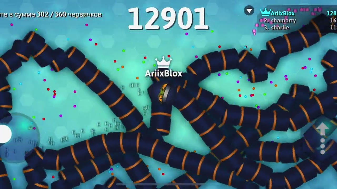 THE BATTLE TO BECOME THE BEST SNAKE 🔥