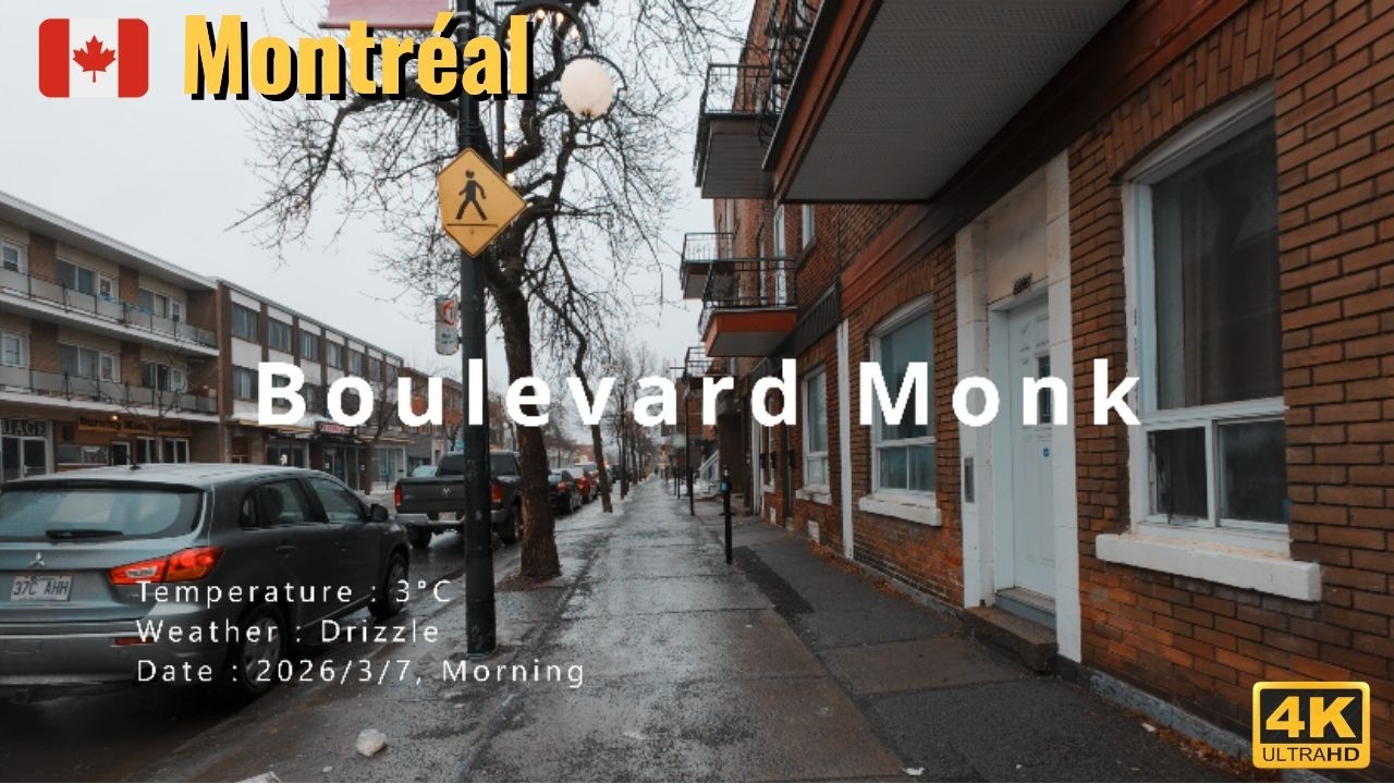 Peaceful Rainy Morning Walk in Montreal | Sparrow Sounds & Light Rain 4K