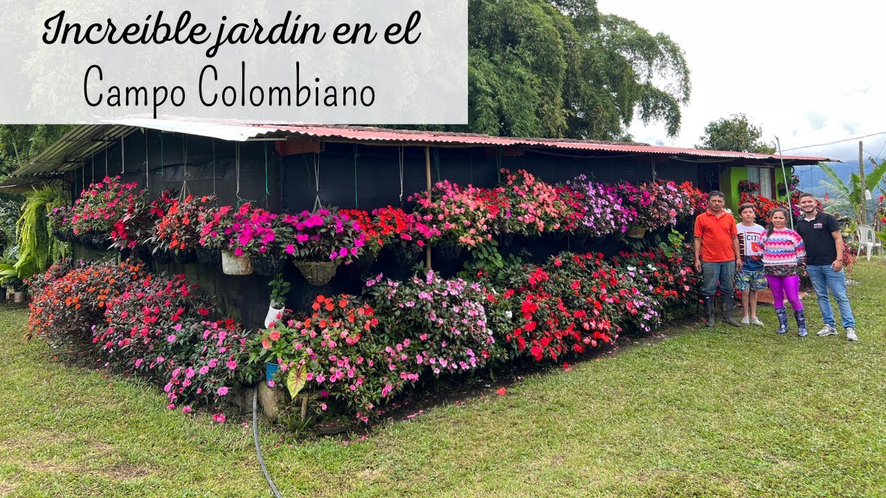 IMPRESIONANTE jardín en el campo Colombiano |  la magia de las plantas