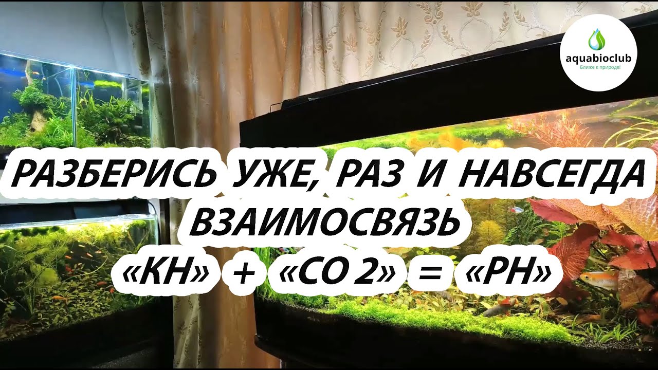 Взаимосвязь КН, СО2, РН в аквариуме. Разберись уже, раз и навсегда.