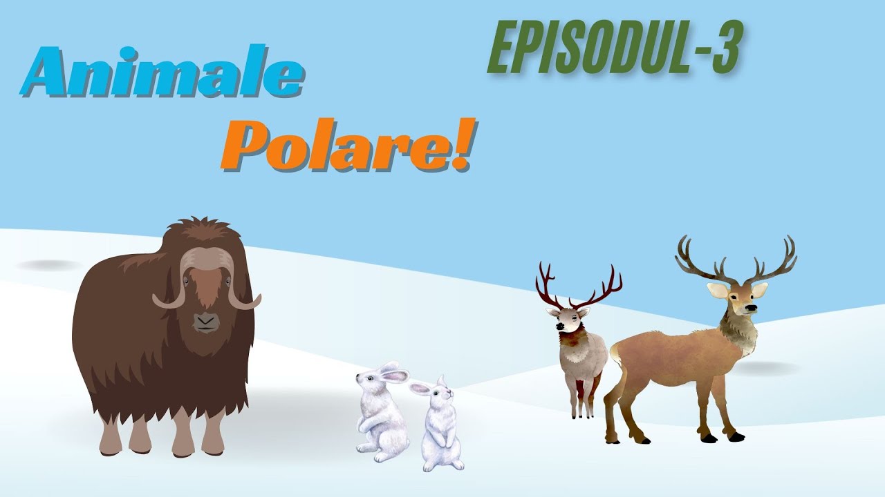 Animale Polare Episodul-3