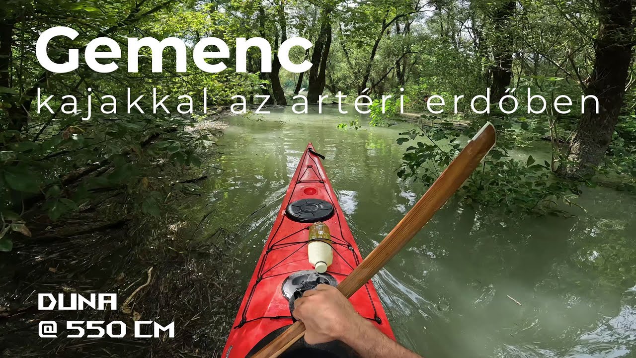 Gemenc - kajakkal az ártéri erdőben, 550-es vízállásnál