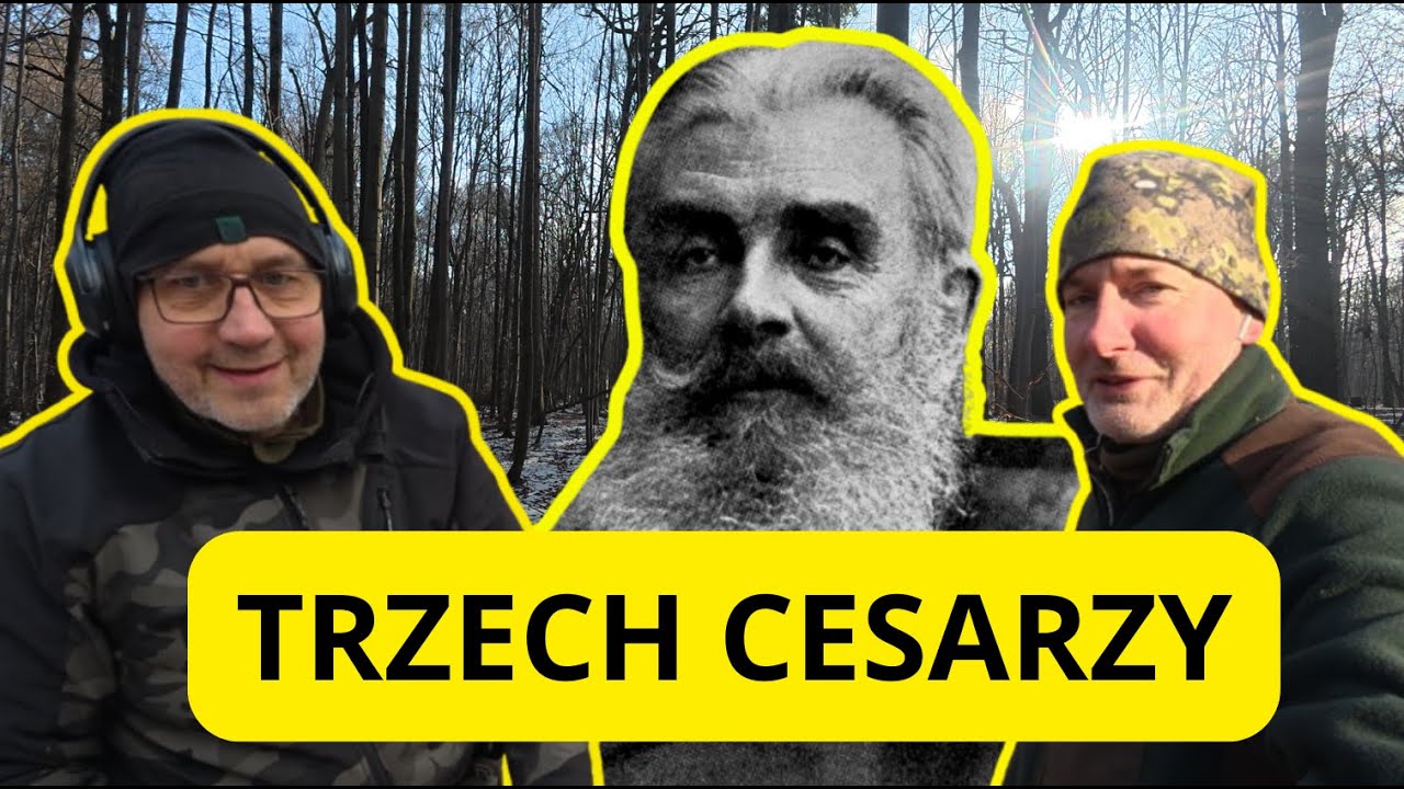 LAS DONNERSMARCKA NIGDY NIE ZAWODZI #metaldetecting