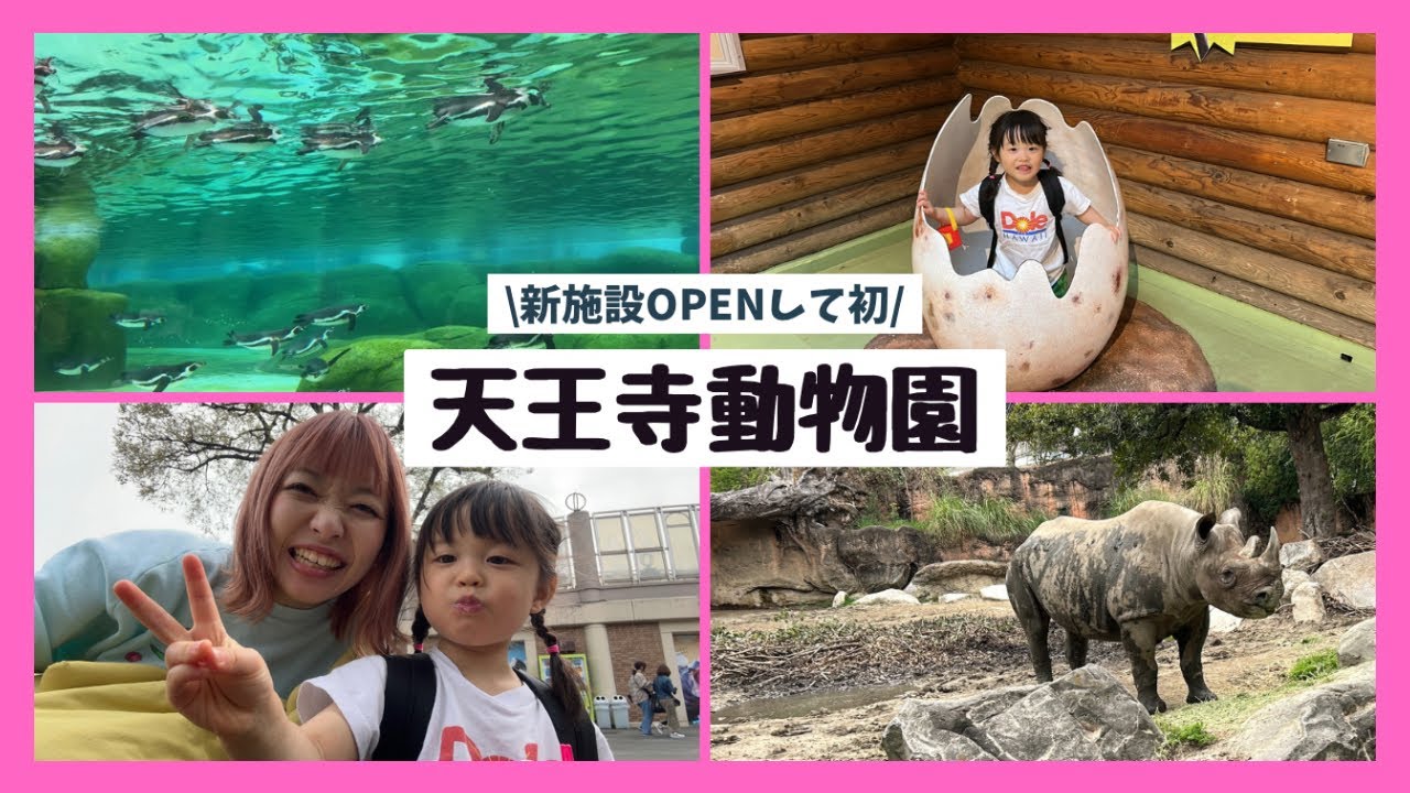 【ペンギン施設に大興奮】久しぶりの天王寺動物園！
