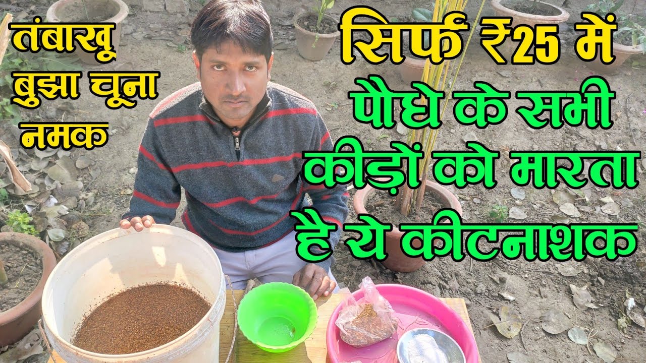 कीटनाशक घर पर मात्र ₹25 में बनाएं, किसी भी कीड़े को मार सकता है,Home Make Pesticides,Rn kushwaha