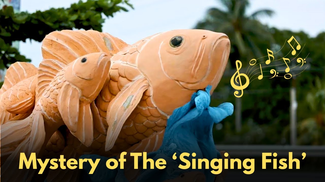 The Singing Fish of Batticaloa | Sri Lanka