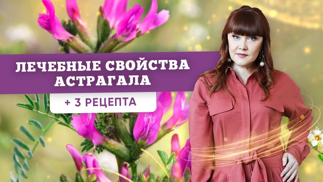 Астрагал: лечебные свойства травы (Травяная Магия) + 3 рецепта