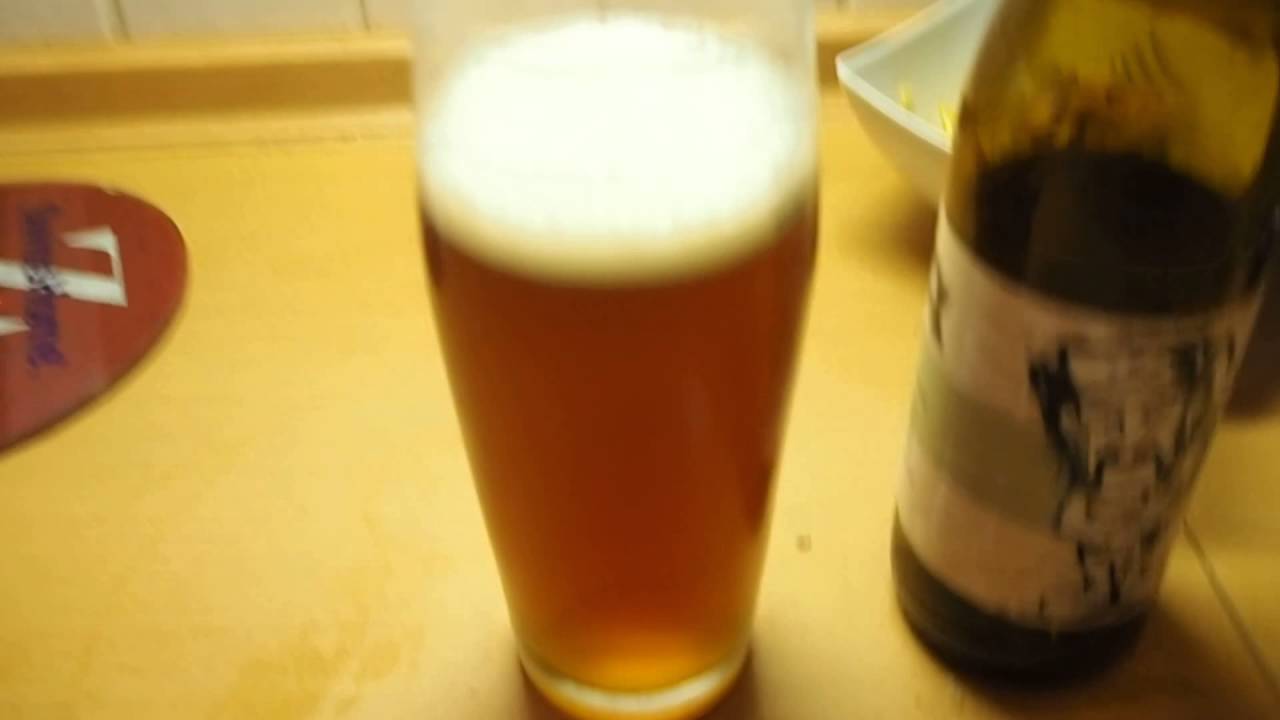 Browar Profesja Basista Recenzja Degustacja