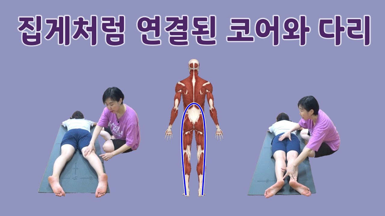 [마름모코어 시즌 1-279] 코어와 다리 / 척추 중심으로 하후거부터 종아리까지 모으면 코어와 연결된 힘으로 다리를 쓸 수 있어요