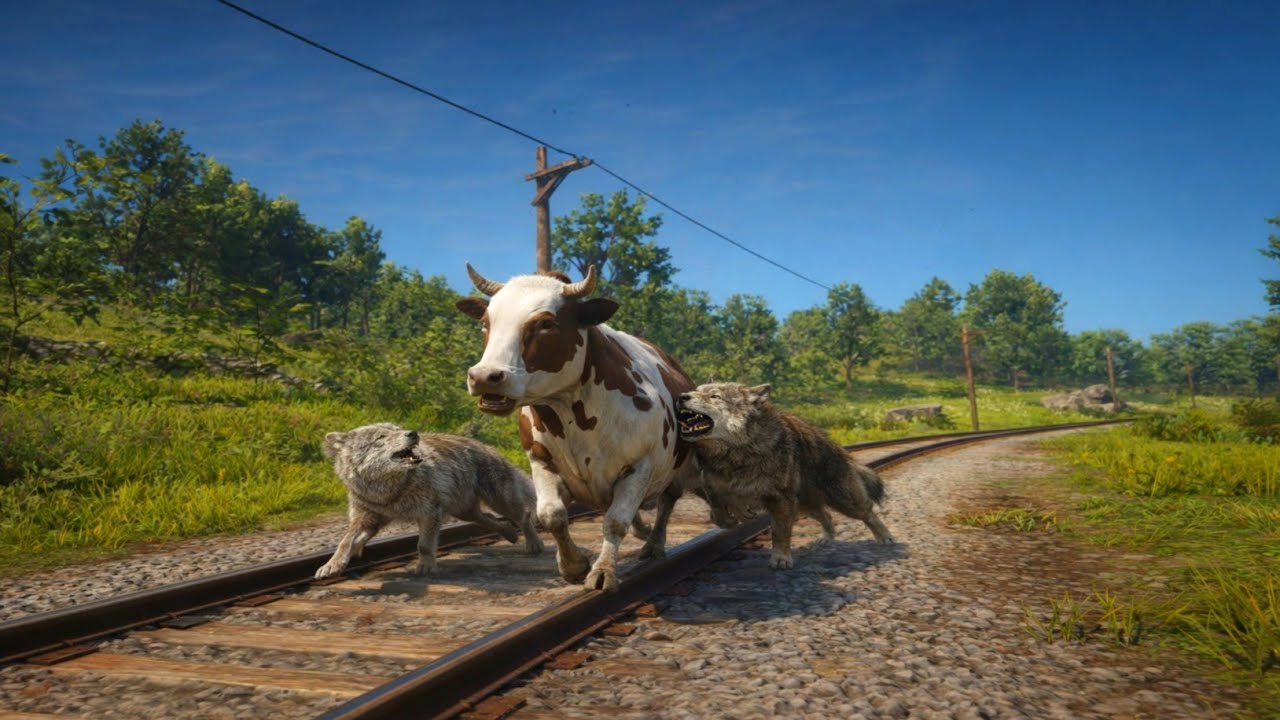 RDR2 - 4 Wolf attack a wild cow amazing moment Ep.34