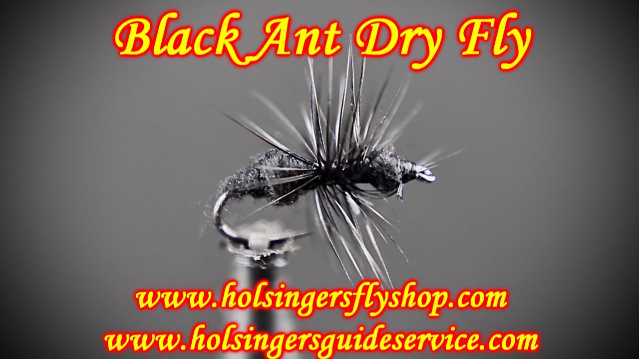 Black Ant Dry Fly, Holsinger's Fly Shop