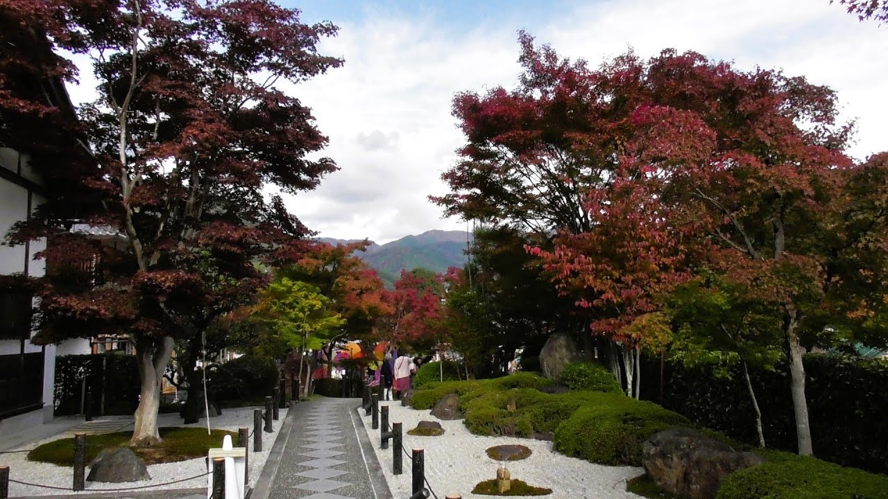 写真で見る　バスツアーにて宝徳寺の紅葉、わたらせ渓谷鉄道、あしかがフラワーパークのイルミネーションを見て回る旅　2025年11月