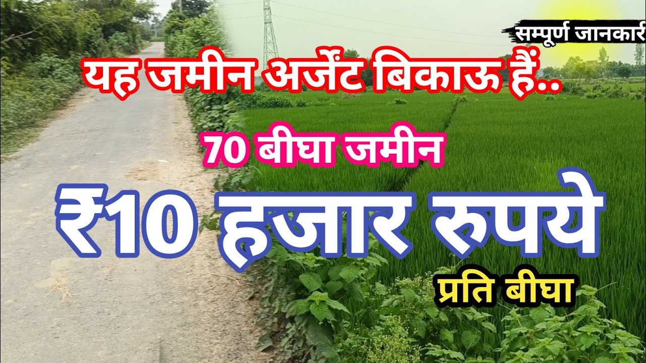 70.बीघा जमीन खरीदे मात्र ₹10 हजार रुपये प्रति बीघा में agricultur land for sale