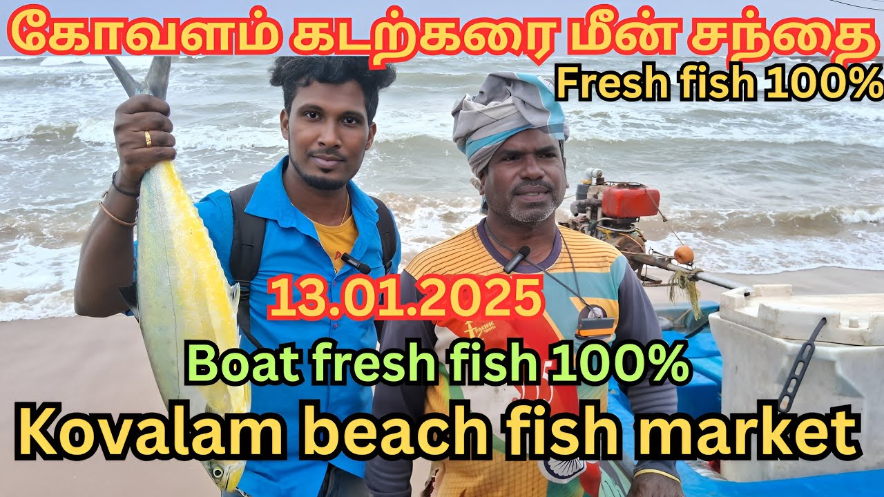 💥🐠 Kovalam fish market | Fresh fish market |  Fish | Chennai fish market #trending #fish #fishes