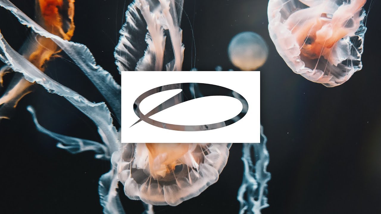 O.B.M Notion - Marina [#ASOT917]