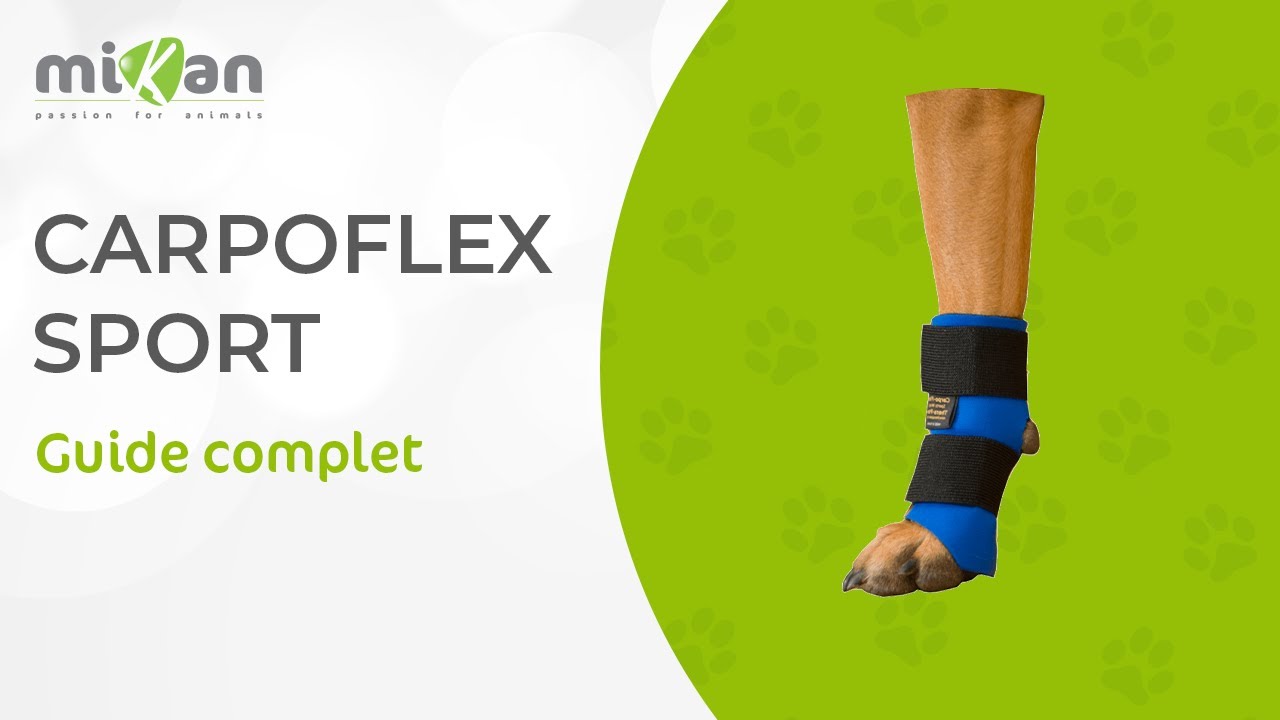Comment mettre en place son attelle Carpoflex sport I Mikan