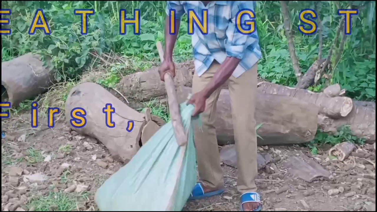 NJAHI.